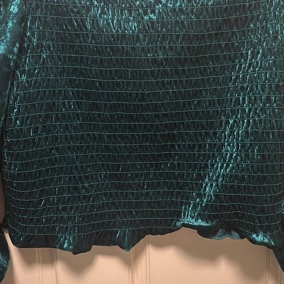 NWOT Green Velvet Cropped Blouse - Picture 2 of 8
